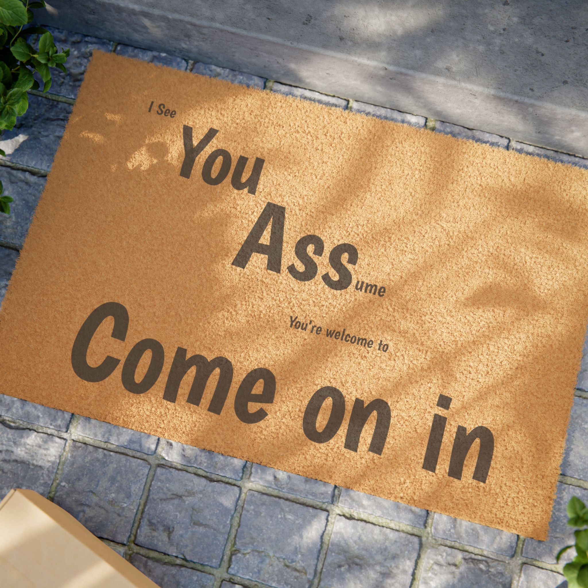 Funny Welcome Doormat
